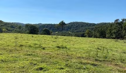 Fazenda dupla aptidão para venda em Paracatu-MG com 212 hectares sendo 70 hectares agricultáveis, abundante em água e com benfeitorias