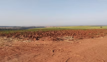 Fazenda dupla aptidao para venda na região de Lins-SP com 115 alqueires em cana e pastagem, fazenda completa