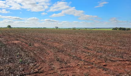 Fazenda para venda na região de Presidente Prudente-SP com 60 alqueires sendo 50 alqueires agricultáveis para cana, soja, algodão e etc