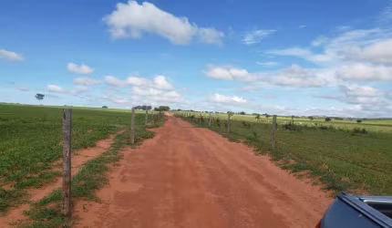 Fazenda dupla aptidao para venda na região de Presidente Venceslau-SP com 88 alqueires montada na pecuária, benfeitorias, beira do asfalto
