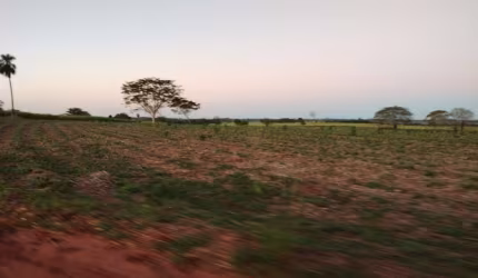 Sitio para venda na região de Jales-SP com 29 alqueires sendo 27 alqueires em cana arrendada, bom de agua, plano