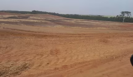 Sitio para venda na região de Catanduva-SP com 10 alqueires sendo 7 alqueires em cana com bom arrendamento, proximo da rodovia