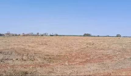 Sitio para venda na região de Ouroeste-SP com 28 alqueires sendo 26alqueires em cana arrendada, plana, terra massape