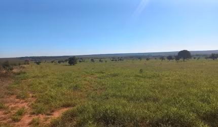 Fazenda para venda na região de Ribas do Rio Pardo-MS com 493 alqueires montada na pecuária, rica em agua e ótima localização