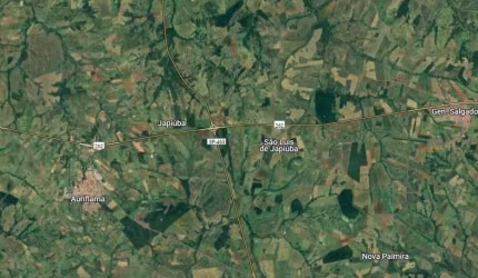 Fazenda para venda na região de Auriflama-SP com 64 alqueires sendo 54 alqueires em cana arrendada, beira do asfalto, benfeitorias