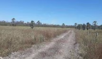 Fazenda para venda em Cotegipe-BA com 2.500 hectares, terra plana, no aquifero, pode rodar pivô