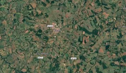 Sitio para venda na região de São Jose do Rio Preto-SP com 7,5 alqueires em amendoim, proximo de varias Usinas
