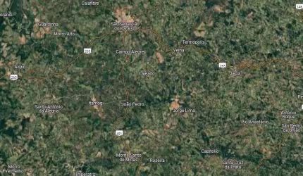 Fazenda dupla aptidao para venda na região de São Sebastiao do Paraiso-MG com 174 hectares, café, eucalipto e pecuária, porteira fechada, rica em agua