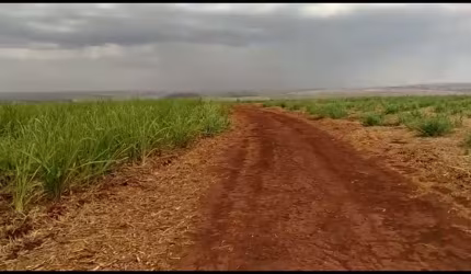 Sitio para venda em Igarapava-SP com 13 alqueires sendo 12,5 alqueires em cana,, terra de cultura, proximo de varias Usinas