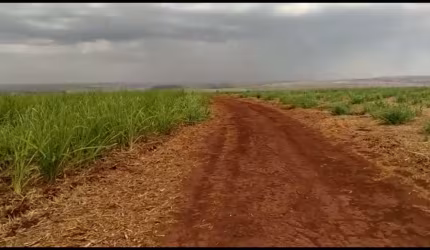 Sitio para venda em Igarapava-SP com 13 alqueires sendo 12,5 alqueires em cana,, terra de cultura, proximo de varias Usinas
