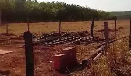 Sitio para venda em Barretos-SP, com 20 alqueires sendo 14 alqueires entre pasto e 7 mil pés de seringueira mais benfeitorias