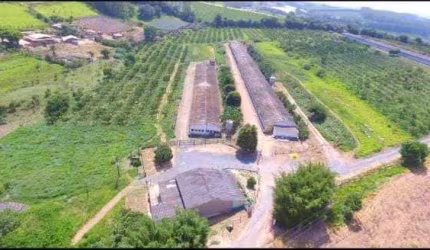 Granja para venda na região de Sorocaba-SP, com 7 alqueires, 3 pavilhoes capacidade para 60 mil frangos, infraestrutura completa