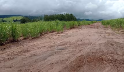 Fazenda para venda na região de São Carlos-SP, com 85,50 alqueires sendo 54,50 alqueires em cana, mais pastagem