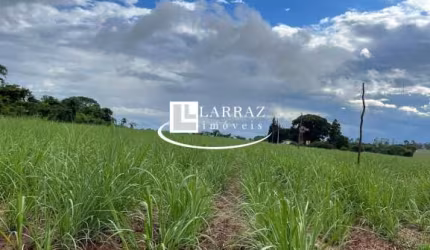 Sitio para venda na região de São Carlos-SP, com 10 alqueires sendo 8 alqueires em cana arrendada mais pasto, casa simples, terra massape