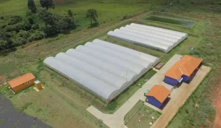 Agroindustria com frigorifico para venda na região de Ribeirão Preto-SP, area total 13 hectares e infraestrutura completa e de primeira para aquicultu