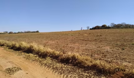 Sitio para venda em Altinopolis-SP, com 10 alqueires sendo 7,5 alqueires em cana, sem benfeitorias, terra cerrado