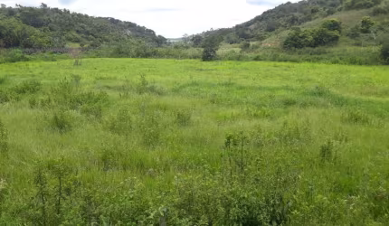 Excelente fazenda tripla aptidão para venda na região de Teofilo Otoni-MG, com 420 hectares, abundante em agua, pastagem, estrutura completa, porteira