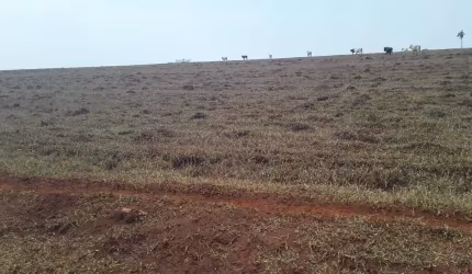 Fazenda dupla aptidão para venda na região de Porto Ferreira-SP com 67 alqueires, atual na pecuária, benfeitorias, rica em agua, rio na divisa