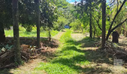 Oportunidade. Chacara para venda na Zona Leste, no Condominio Estancia Ouro Verde, com 3.453 m2, medindo 38 x 89m, muitas arvores frutiferas