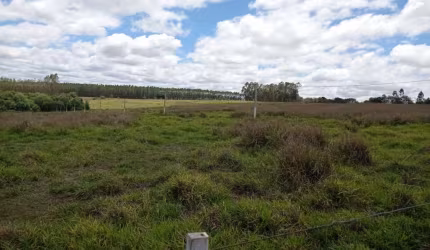 Linda fazenda para pecuária a venda na região de Paranapanema-SP, porteira fechada, 40 alqueires, boa de agua, benfeitorias