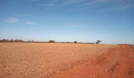 Fazenda para venda na regiao de Votuporanga-SP, com 102 alqueires sendo 82 alqueires em cana arrendada, terra cultura, plana