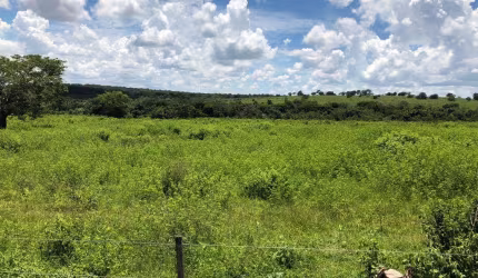 Ótima fazenda dupla aptidão para venda na região de Primavera do Leste-MT, com 6.766 hectares, atual em pecuária, muitas benfeitorias, rica agua