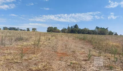 Sitio para venda em Santo Antonio da Alegria-SP, com 9,97 alqueires, planta 8 alqueires, casa sede, de funcionários, barracão e minas de agua