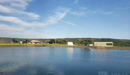 Ótima fazenda para venda na regiao de Patos de Minas / Pres. Olegario-MG, com 1.674 hectares, café, pasto, casa sede e benfeitorias