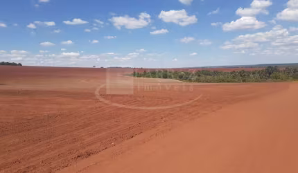 Fazenda para venda na regiao de Uberlandia-MG, com 91 alqueirao sendo 68 alqueirao em cana arrendada, solo misto vermelho