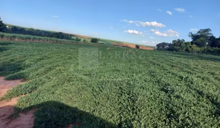 Sitio para venda em Dobrada-SP, com 10,5 alqueires, dentro da cidade, ideal para urbanização, muito bem estruturado com varias benfeitorias, mina