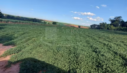 Sitio para venda em Dobrada-SP, com 10,5 alqueires, dentro da cidade, ideal para urbanização, muito bem estruturado com varias benfeitorias, mina