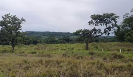 Sitio para venda em Ituverava-SP, com 2,34 alqueires na beira da rodovia, area ideal para grandes empresas, transportadoras ou usina solar