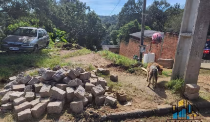 Terreno para Venda em Quatro Barras, ***Borda do Campo***
