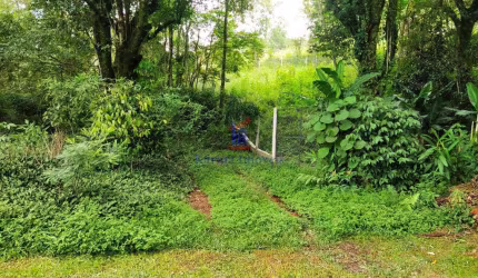 Chácara à Venda em Água Azul, Guarulhos - R$ 150.000