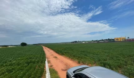 Sítio à venda com 5 alqueires em Mandaguaçu/PR