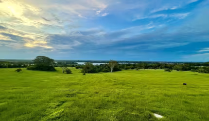 *IMPERDÍVEL* TERRENO EM ROSANA-SP /  LINDA VISTA PARA O RIO PARANÁ