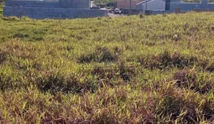 TERRENO EM MANDAGUAÇU