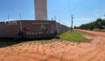 PESCA BRASIL II
