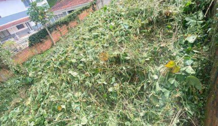 Terreno para Venda em Teresópolis, Iucas, 1 dormitório, 1 banheiro, 1 vaga