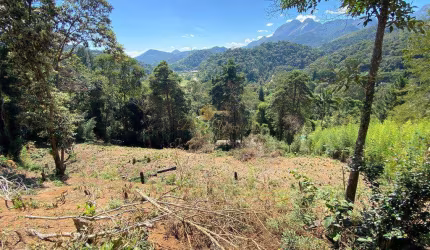 Terreno para Venda em Teresópolis, Vargem Grande, 1 dormitório, 1 banheiro, 5 vagas