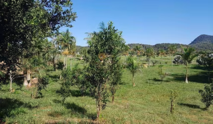 Terreno para Venda em Guapimirim, Cotia