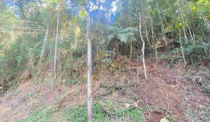Terreno para Venda em Teresópolis, Iucas