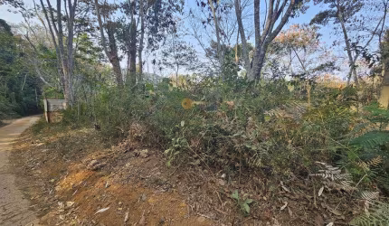 Terreno para Venda em Teresópolis, Jardim Salaco