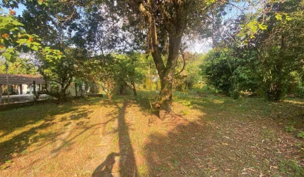Terreno para Venda em Guapimirim, Limoeiro