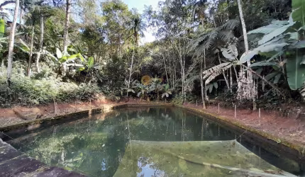 Terreno para Venda em Teresópolis, Prata dos Aredes