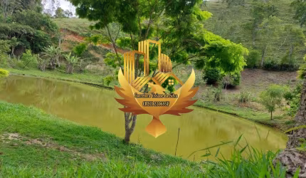 Sítio 2 Alqueires !! Natividade da Serra !! Escriturada Oportunidade Única !!
