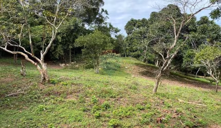 Lindo terreno em Búzios RJ com 900m² à venda na rasa, ótima oportunidade de investimento para uso residencial ou comercial
