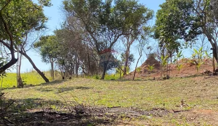 Terreno muito próximo a praia rasa à venda com 390m2 com ótimo custo beneficio plano e com água e luz na porta