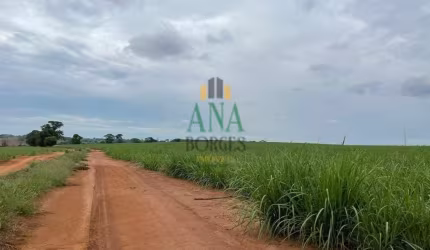 EXCELENTE FAZENDA COM CANA A VENDA EM ARARAQUARA