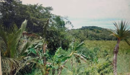 Sítio (terreno) c/ 31.250m2 de área, c/ nascente